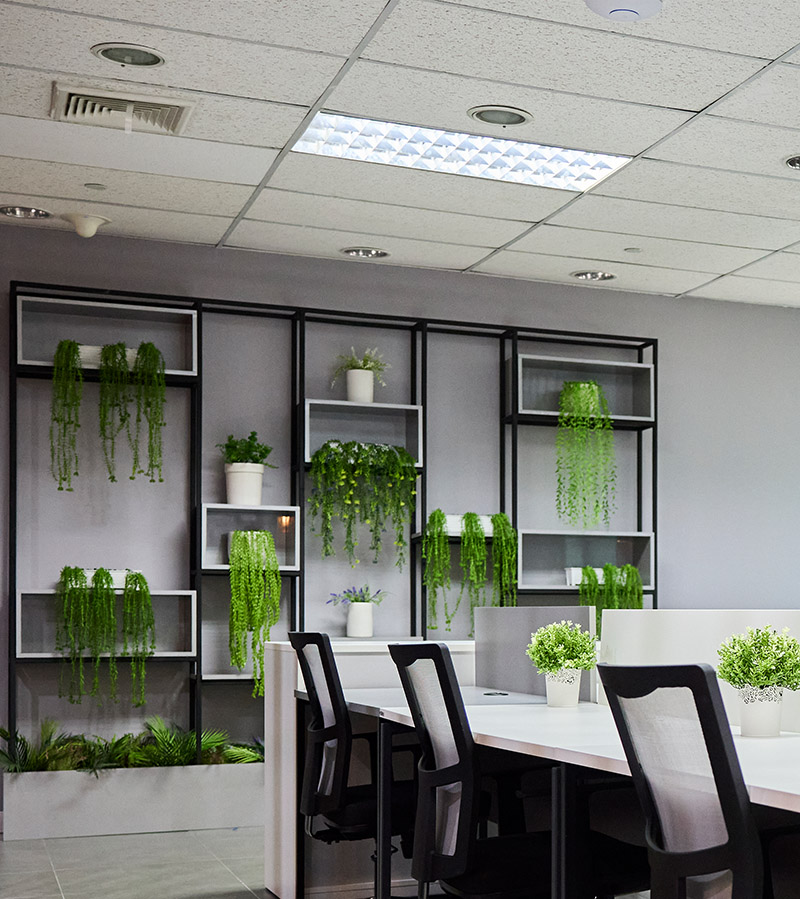 feat-small-4-800×899-1